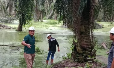DLH Pelalawan Memberikan Sangsi Administrasi PT Sari Lembah Subur Kebocoran Limbah