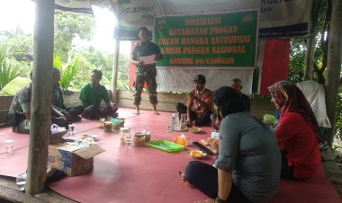 Waspada Darurat Pangan Nasional, Koramil 09/Langgam Adakan Sosialisasi