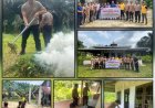 HUT Bhayangkara Ke 78, Polsek Langgam Giat Baksos Religi Membersihkan Rumah Ibadah