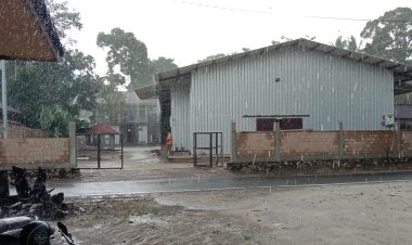 Wabah Lalat Dari Kandang Ayam Andiang Mengancam Kesehatan Masyarakat  Pemda Terkesan Berpihak Pada Pengusaha 