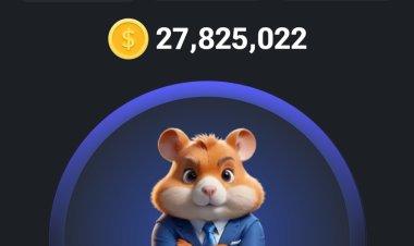 Mengapa "Hamster Combat" Menjadi Game Terpopuler Saat Ini?