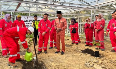 Management Visit EMP Energi Riau Kunjungi Rumah Budidaya Anggur Impor di Kerumutan