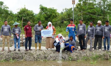 Pemberdayaan Masyarakat Pertamina EP Lirik Di Koto Gasib Sasaran Penurunan Stanting Dan Peningkatan Ekonomi Berkelanjutan