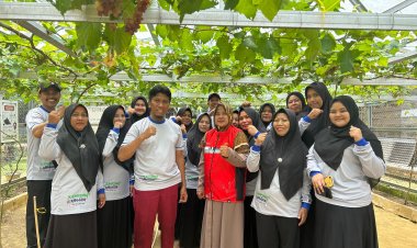 PT EMP Energi Riau Adakan Pelatihan Pembuatan Keripik Daun Anggur dan Strategi Pemasaran
