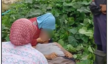 Kecelakaan Kerja, Pekerja Kebun Sawit PT Adei Plantation Meninggal Dunia