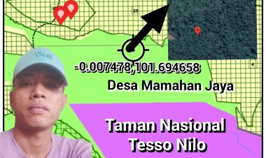 Group Lahan 1000 Ha Desa Mamahan Jaya Masuk Dalam Kawasan HPT DiDuga Tidak Tersentuh Hukum