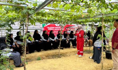 EMP Energi Riau Gelar Kegiatan Pelatihan Budidaya Anggur Import