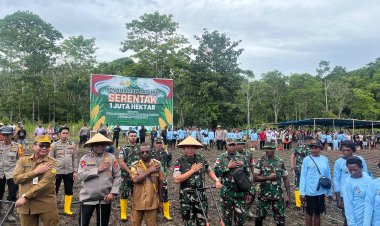 Danyonif 751/VJS terlibat dalam Kegiatan Penanaman Jagung Serentak 1 Juta Hektar di Distrik Kemtuk Jayapura