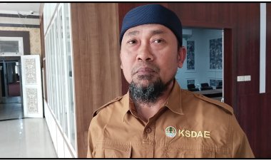 Kebun Sawit Masuk Dalam Kawasan TNTN Tidak Ada Izinnya, Siapakah Alih Fungsinya...?
