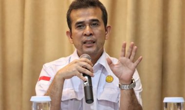 Konflik Manusia Dan Harimau Sumatera Kembali Terjadi Di Pelalawan, Berikut Penjelasan Kepala BBKSDA Riau