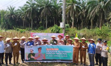 PT SLS Group Astra Agro Panen Jagung Dalam Mendukung Ketahanan Pangan Dan Sukseskan ASTA CITA