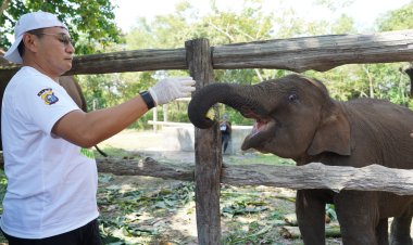 Dalam Rangka HUT Bhayangkara Ke 79, Kapolda Riau Kunjungi Taman Nasional Tesso Nilo Serukan Perlindungan Gajah dan Lingkungan