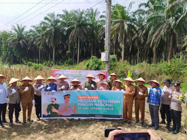 PT SLS Group Astra Agro Panen Jagung Dalam Mendukung Ketahanan Pangan Dan Sukseskan ASTA CITA