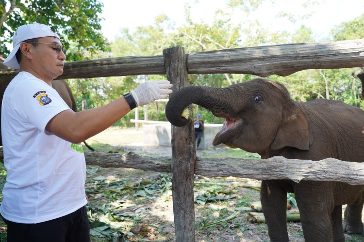 Dalam Rangka HUT Bhayangkara Ke 79, Kapolda Riau Kunjungi Taman Nasional Tesso Nilo Serukan Perlindungan Gajah dan Lingkungan