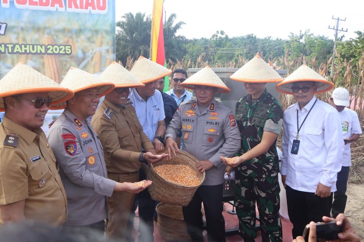Dukung Asta Cita Prabowo, Kapolda Riau Bersama Forkopimda Pelalawan Panen Raya Jagung Pipil