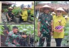 Pemanfaatan Lahan Yang Inovatif Prajurit Yonif 122/TS Dan Persit Panen Hasil Kebun Modern Toga