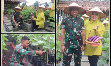 Pemanfaatan Lahan Yang Inovatif Prajurit Yonif 122/TS Dan Persit Panen Hasil Kebun Modern Toga