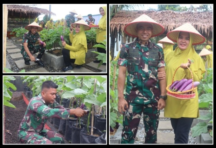 Pemanfaatan Lahan Yang Inovatif Prajurit Yonif 122/TS Dan Persit Panen Hasil Kebun Modern Toga