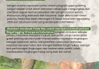 17 Tahun SP3 Illegal Logging 14 Koporasi di Riau:  Saatnya “Green Policing”  Program Polda Riau