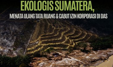 CAT 2025 Jikalahari: Setelah Bencana Ekologis Sumatera, Menata Ulang Tata Ruang, Cabut Izin Korporasi di DAS