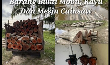 Gerak Cepat Tim Unit Reskrim Polsek Langgam Ungkap Kasus Dugaan Tindak Pidana Ilegal Loging