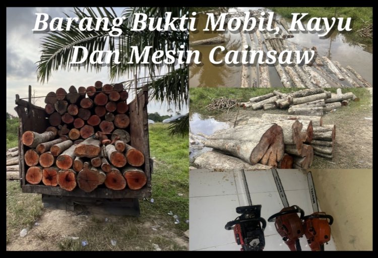 Gerak Cepat Tim Unit Reskrim Polsek Langgam Ungkap Kasus Dugaan Tindak Pidana Ilegal Loging