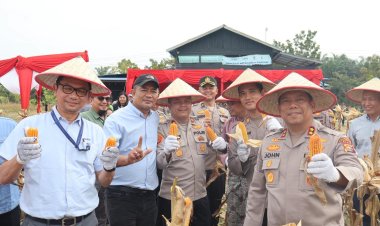 Polres Pelalawan Panen Raya Jagung, Wujudkan Swasembada Pangan