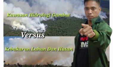 Diduga Api Berasal Dari Lahan Gambut Koperasi RTBS, GP3 Minta APH Usut Tuntas