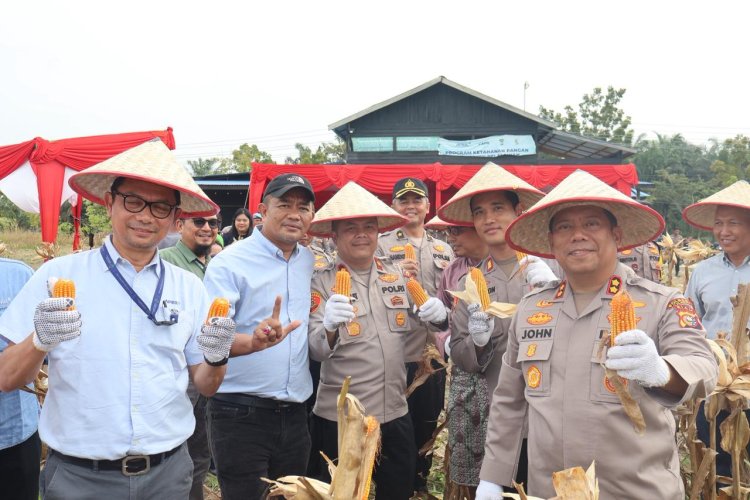 Polres Pelalawan Panen Raya Jagung, Wujudkan Swasembada Pangan