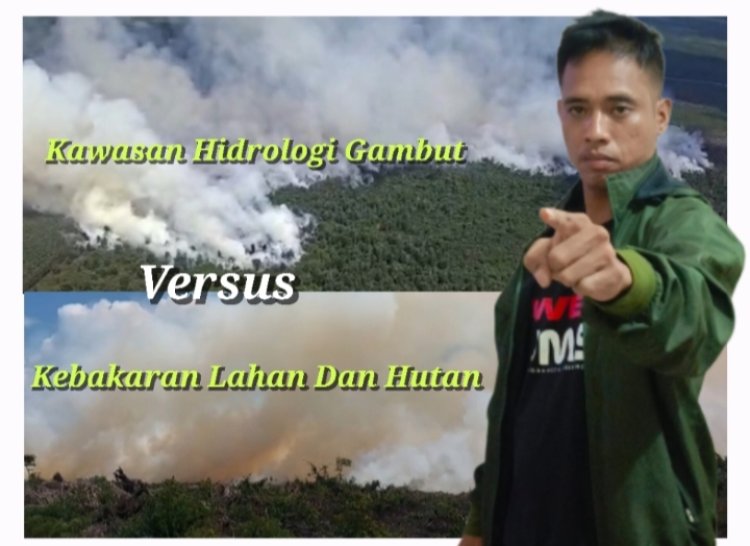 Diduga Api Berasal Dari Lahan Gambut Koperasi RTBS, GP3 Minta APH Usut Tuntas