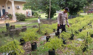 Dukung Ketahanan Pangan, Personil Polsek Pangkalan Kerinci Sambangi Pembibitan Cabe Warga Binaan
