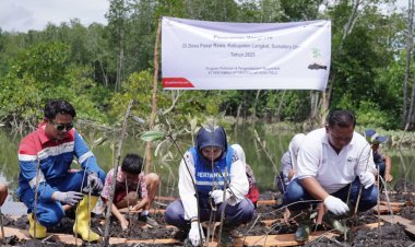 PALUH ASRI: Transformasi Dapur Arang Menjadi Kawasan yang Kaya Keanekaragaman Hayati