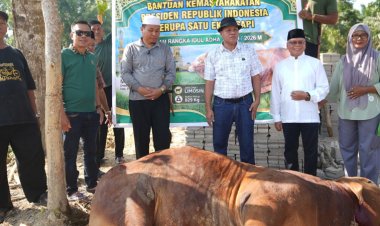 Sapi Kurban Bantuan Presiden Dipotong di Ponpes Imam Saleh Inuman