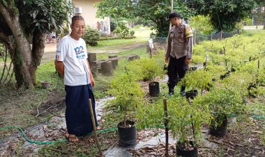 Personil Polsek Pangkalan Kerinci Monitoring Budidaya Petani Cabai