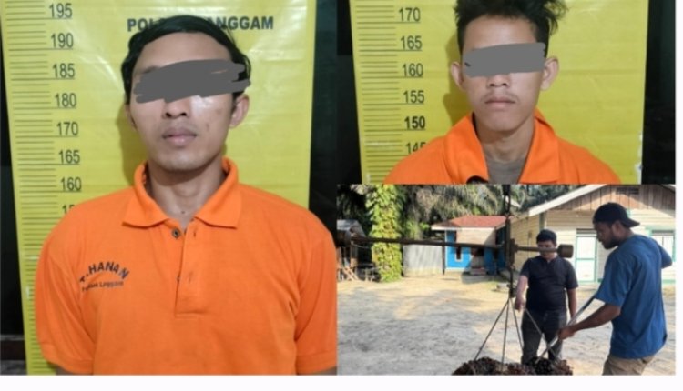 Dua pelaku Pencurian Sawit Milik Warga Diamankan Polsek, 14 Tandan Jadi Barang Bukti