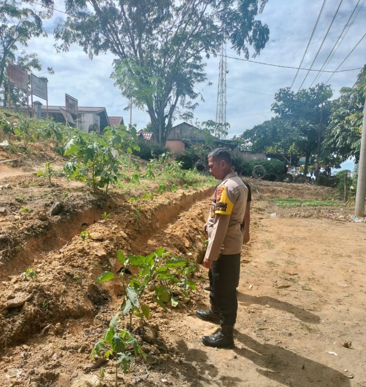 Bhabinkamtibmas Polsek Pangkalan Kerinci Meninjau Warga Memanfaatkan Lahan Kosong Untuk Ketahanan Pangan