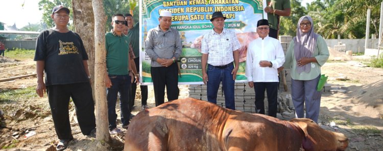 Sapi Kurban Bantuan Presiden Dipotong di Ponpes Imam Saleh Inuman