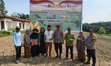 Polsek Pangkalan Kerinci Giat Penanaman Jagung Pipil Bersama Poktan Makmur Jaya Desa Makmur