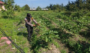Dukung Ketahanan Pangan, Bhabinkamtibmas Monitoring Lahan Bergizi Milik Warga