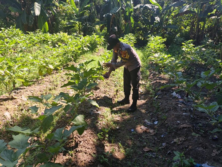 Bhabinkamtibmas Polsek Pangkalan Kerinci Tinjau Lahan Bergizi Warga Binaan