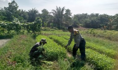 Bhabinkamtibmas Desa Makmur Monitoring Pekarangan Bergizi Mandiri Warga Binaan Guna Dukung Ketahanan Pangan