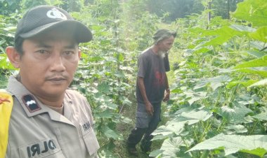 Memanfaatkan Lahan Pekarangan Bergizi, Bhabinkamtibmas Desa Makmur Dukung Program Ketahanan Pangan