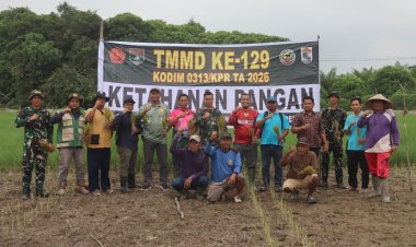 Perkuat Swasembada Pangan di Pelosok Desa, Satgas TMMD Ke-129 Kodim 0313/KPR Turun ke Sawah Tanam Padi di Kuala Panduk