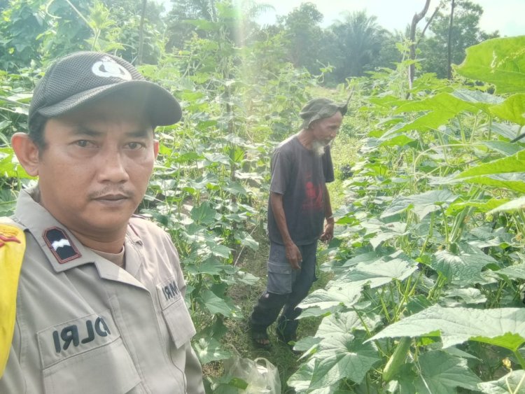 Memanfaatkan Lahan Pekarangan Bergizi, Bhabinkamtibmas Desa Makmur Dukung Program Ketahanan Pangan