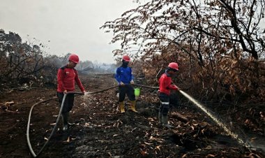 Api Telah Padam, PT SLS Lanjutkan Bantuan Penanganan Karhutla di Kerumutan