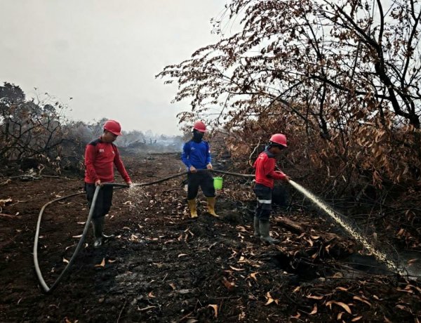 Api Telah Padam, PT SLS Lanjutkan Bantuan Penanganan Karhutla di Kerumutan