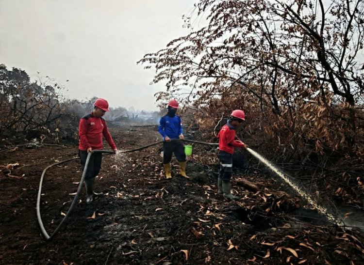 Api Telah Padam, PT SLS Lanjutkan Bantuan Penanganan Karhutla di Kerumutan